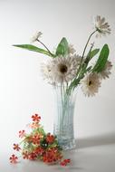 Still Life Flower