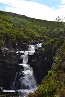 Waterfall Water Nature