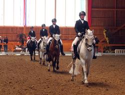 people on horses