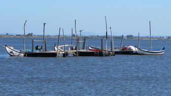 beautiful boats at sea