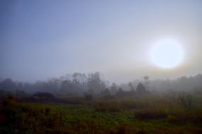 Sun Mist Field