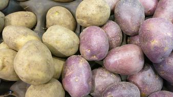 Red Potatoes Russet Varieties