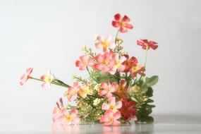 Still Life Flower