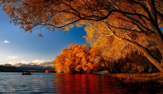 New Zealand Lake Tekapo