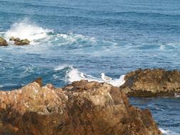 Waves Winter Coastal Gangwon