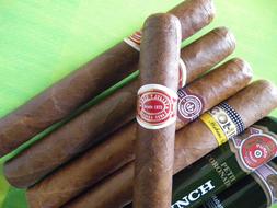 Cigar Cuba Romeo Julieta Y Monte