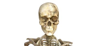 skeleton skull halloween