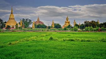 green fields near temples