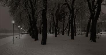 snow park at night