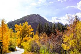 Mountain Trail Autumn