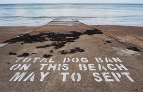 Dog ban on the beach, from May to September