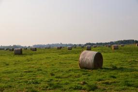 hay bales in the field on the farm