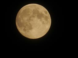 yellow evening moon