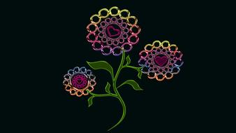 flower abstract colorful decoration