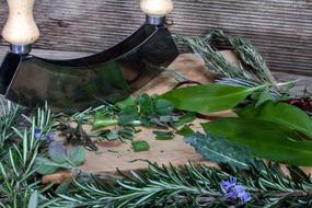 Herbs Herb Knife Cutting Board