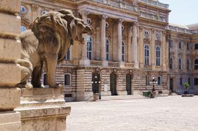 lion sculpture in front of the building