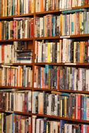 wooden bookshelf view