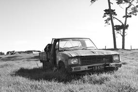 Hilux Rusty Ute