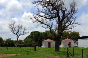 Farm Life Countryside