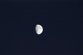 the moon in the dark sky shines