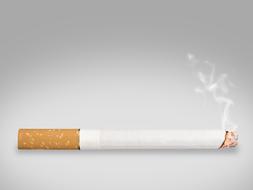 burning cigarette on a white background