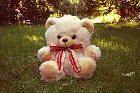 Teddy Bear