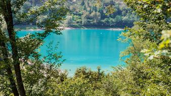 blue lake with trees