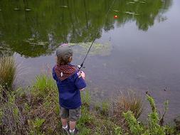 Fishing Outdoors Young