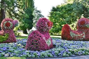 Flowers Floral Decorations Deco