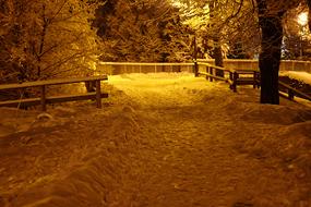 snowy beautiful park evening
