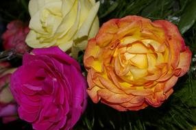 blossoming flowers bouquet