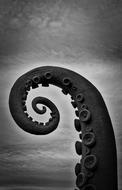octopus tentacle sculpture