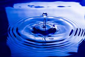 Water Drop Still