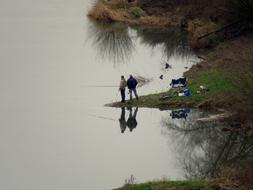 Angler Fisherman River Fishing