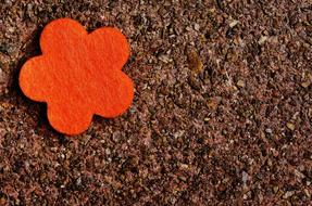 Flower Felt Orange Greeting