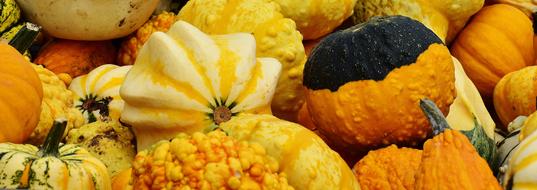 Pumpkins Autumn Decoration