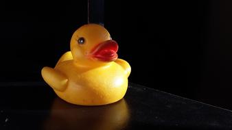 cute yellow duck on a black background