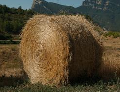 grass straw bale field