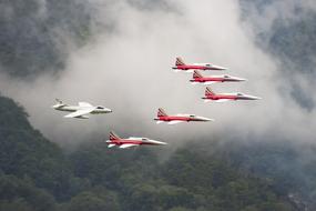 Patrol Suisse Tiger F-5E Ii