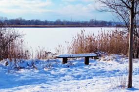 Landscape Lake Frozen