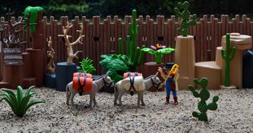 Playmobil Western Usa