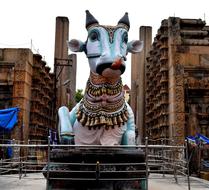 Bull Pudumadapam Madurai