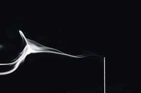 White Smoke Flash Black And
