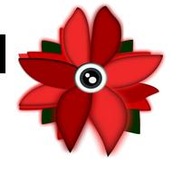 flowers eye flower red