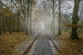 beautiful fall view of the railroad with fog
