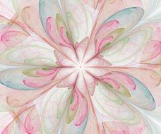 pink blue flower blossom rose