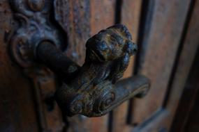 Door Handle Lion Fittings Cast