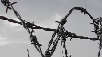 iron fence spiky clouds