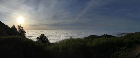 Mount Tamalpais Above The Fog