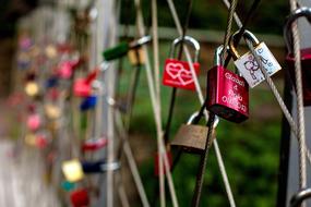 iron locks on the fence landscape